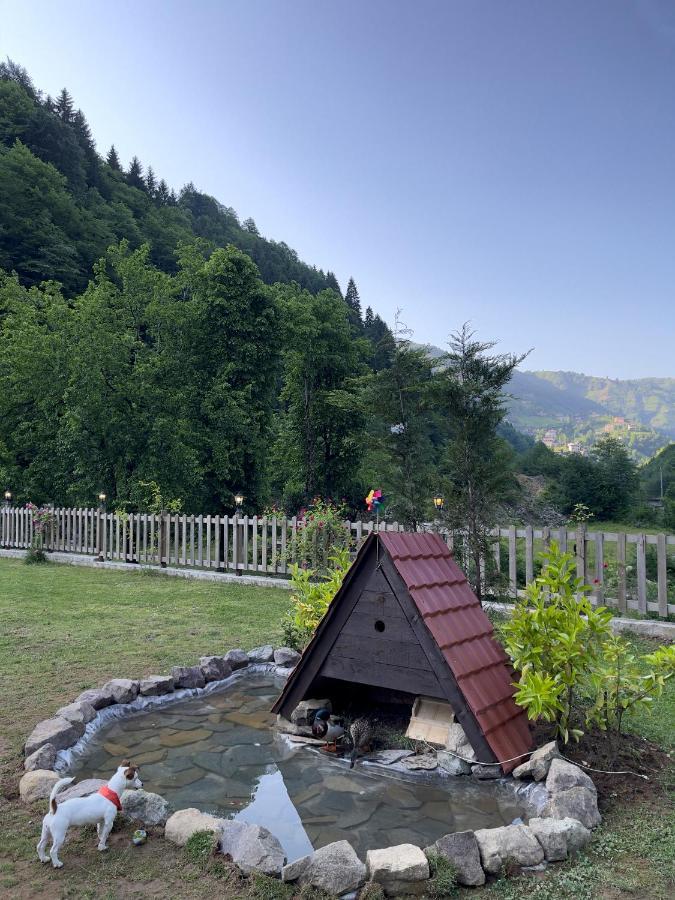 Dream River Exclusive Bungalow Rize Bagian luar foto